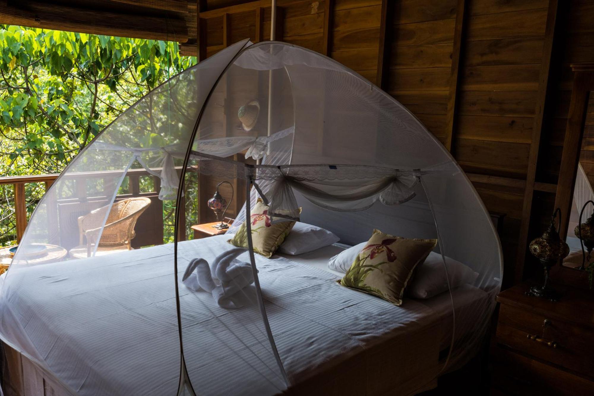 Wanakaset Forest Glamping Kitulgala Dış mekan fotoğraf