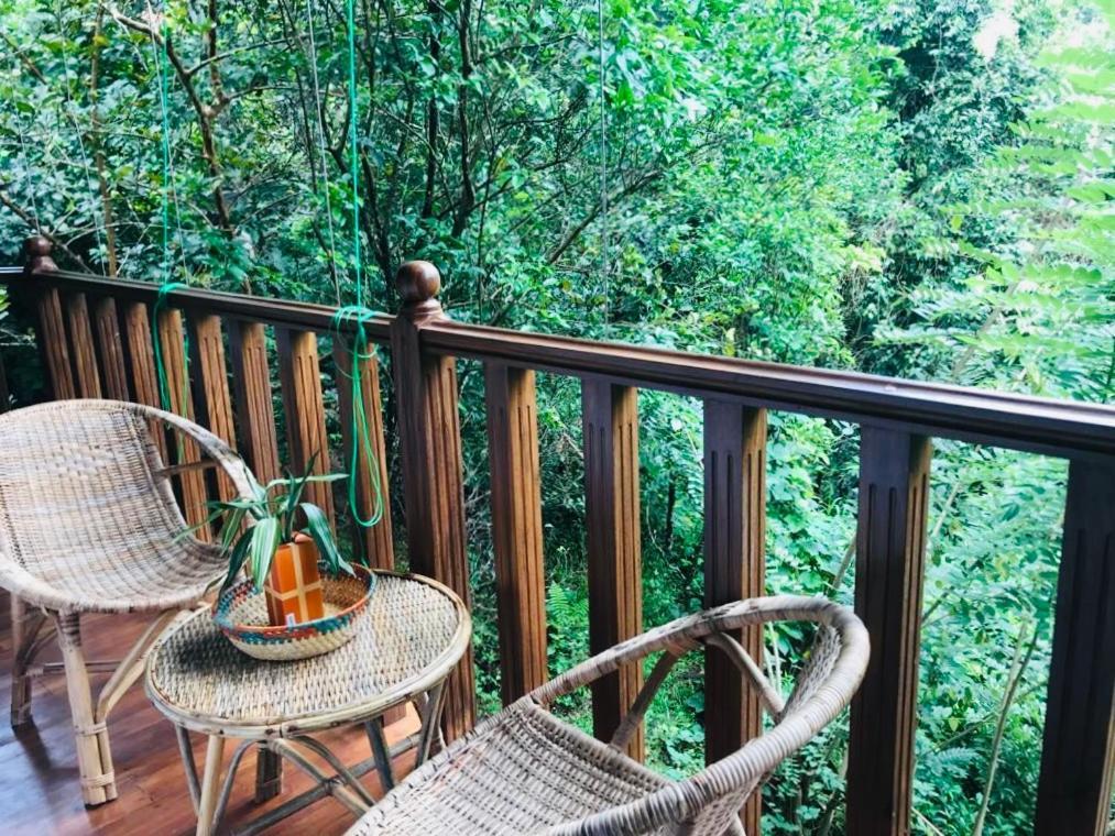 Wanakaset Forest Glamping Kitulgala Dış mekan fotoğraf